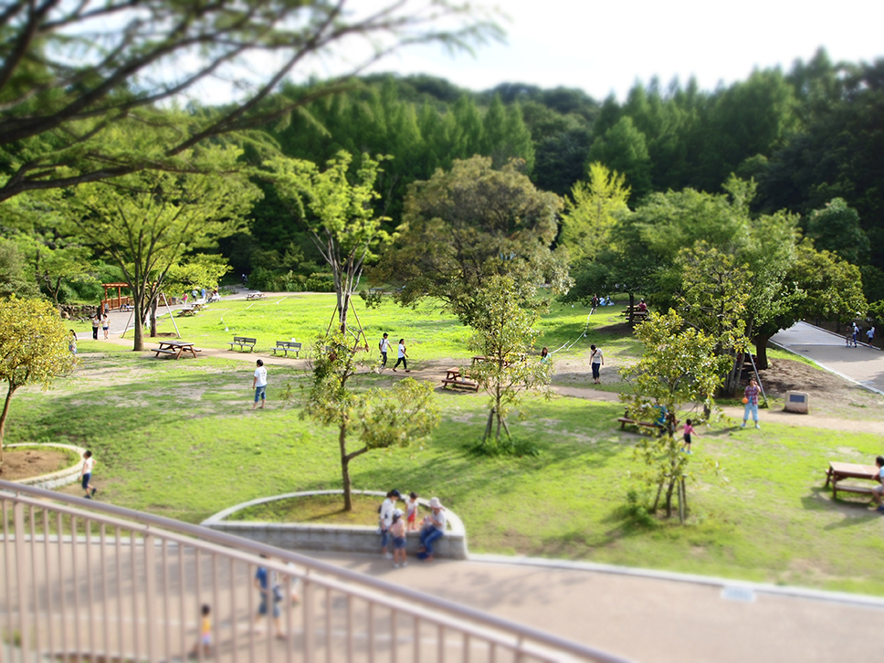 生田の緑豊かな公園風景