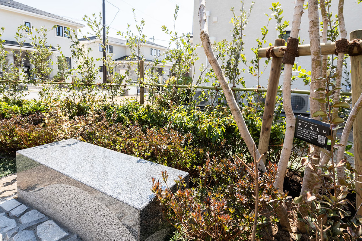 オルキデ蘆花公園 外構