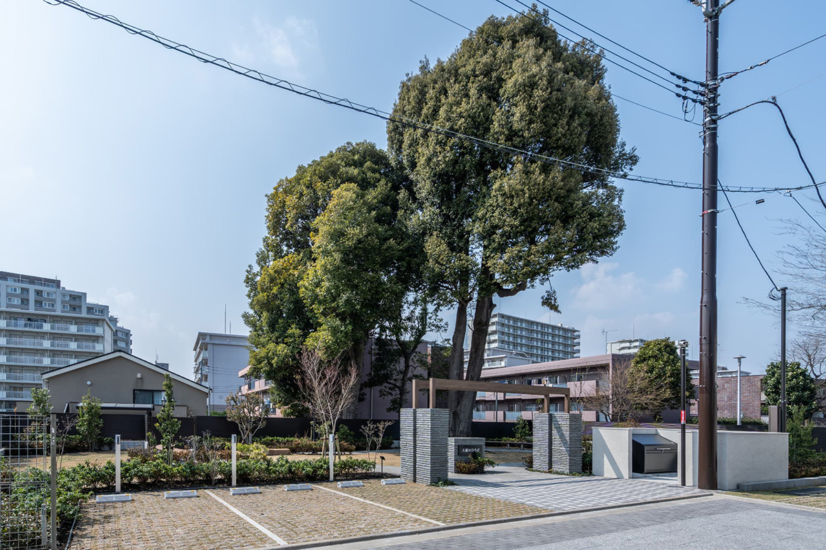 オルキデ蘆花公園 外構