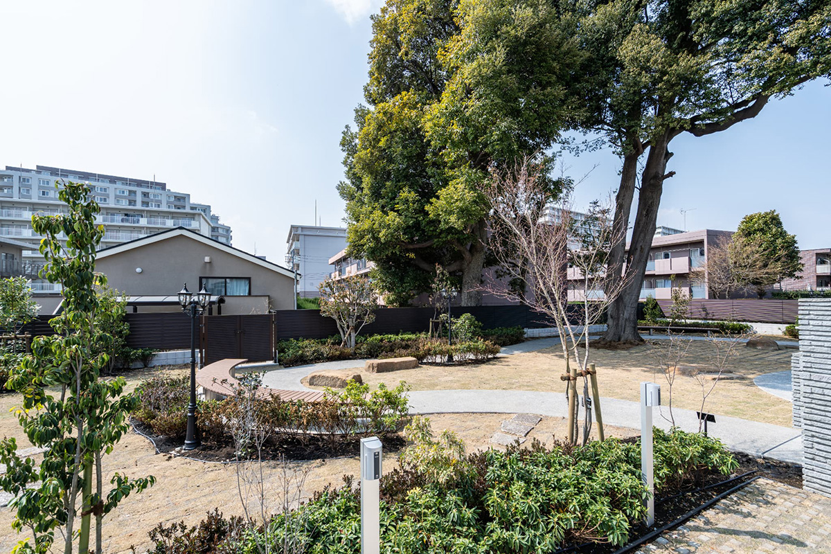 オルキデ蘆花公園 外構